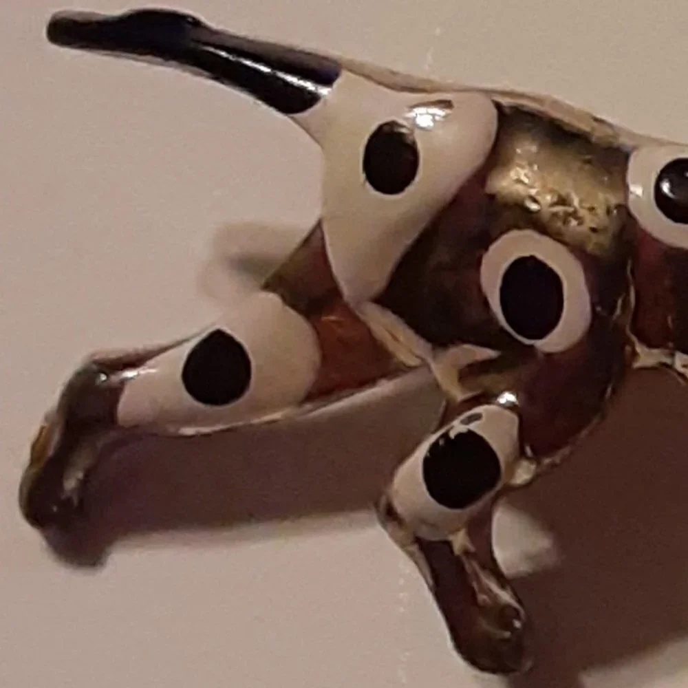 N/A spotted dog